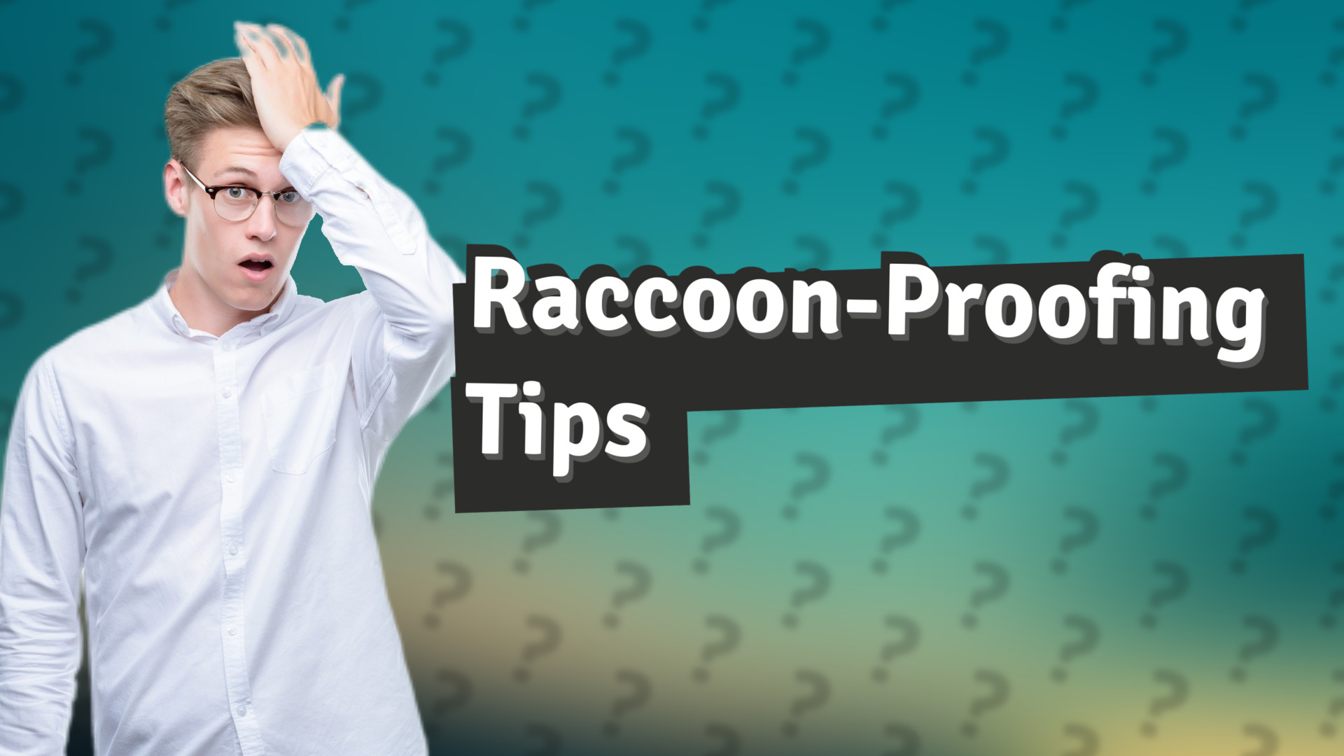 Raccoon-Proofing Tips