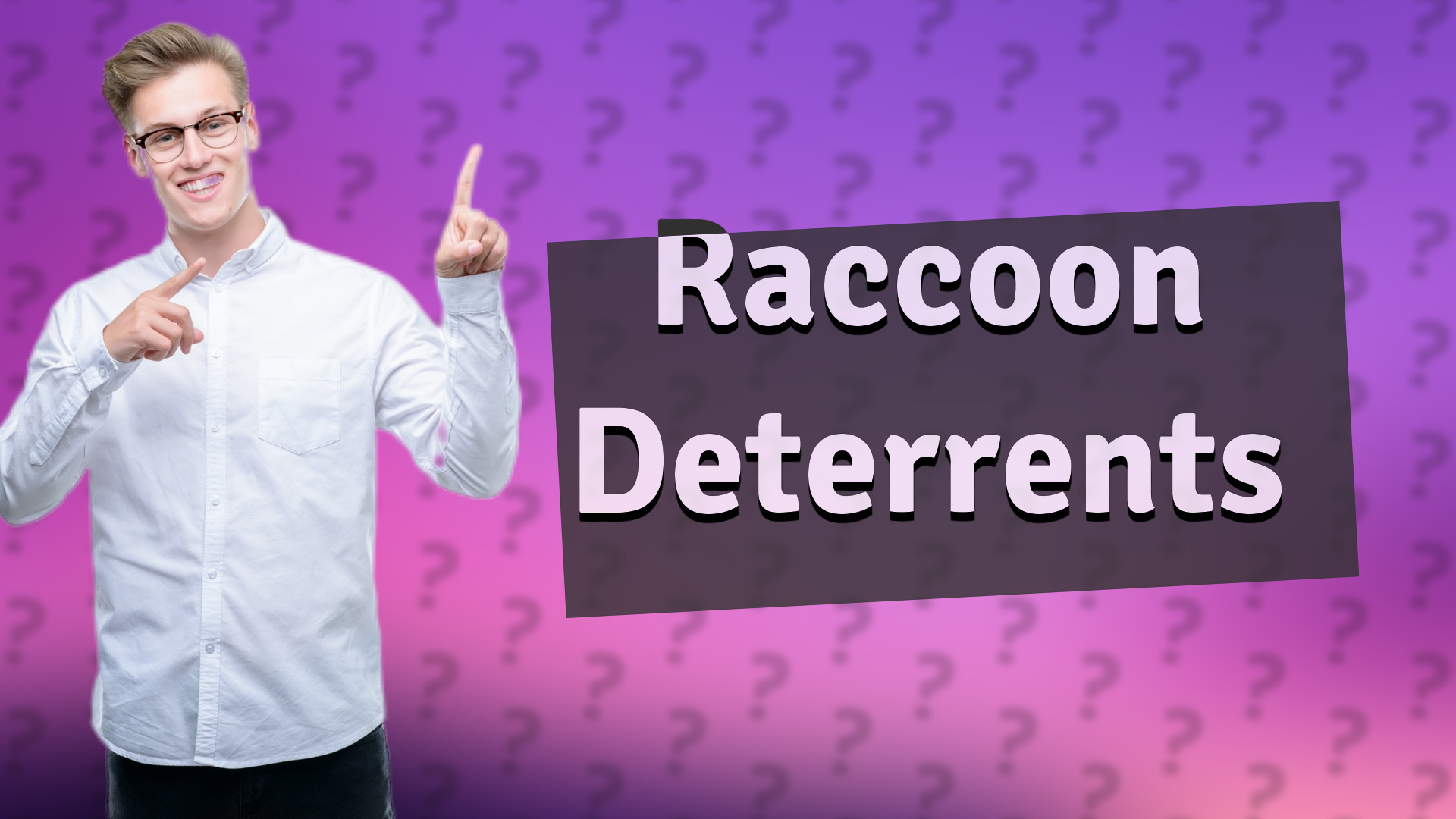 Raccoon Deterrents