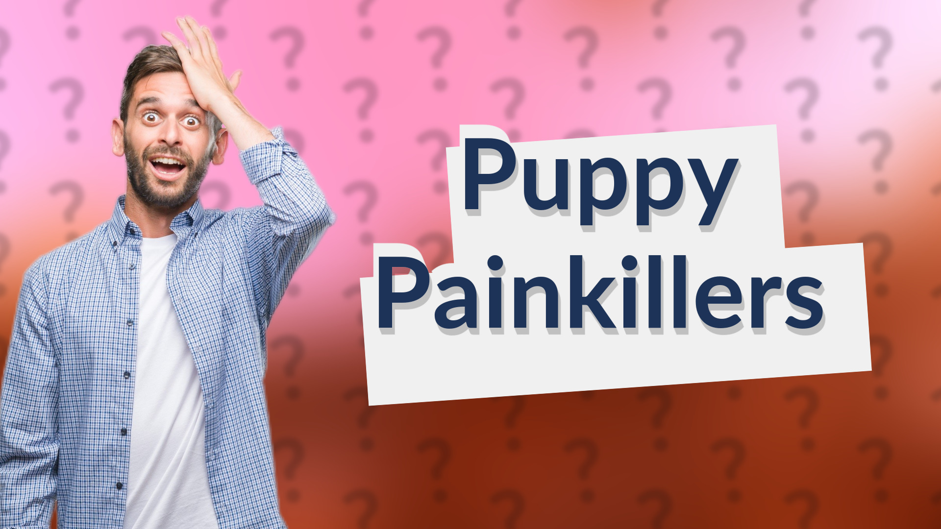 Puppy Painkillers