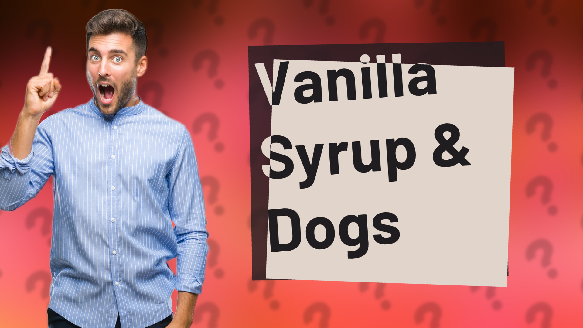Vanilla Syrup & Dogs