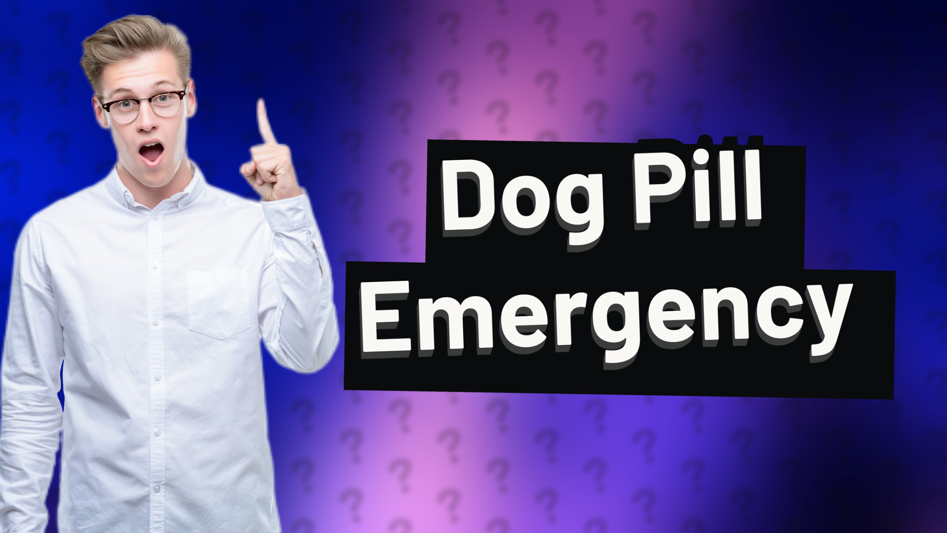 Dog Pill Emergency