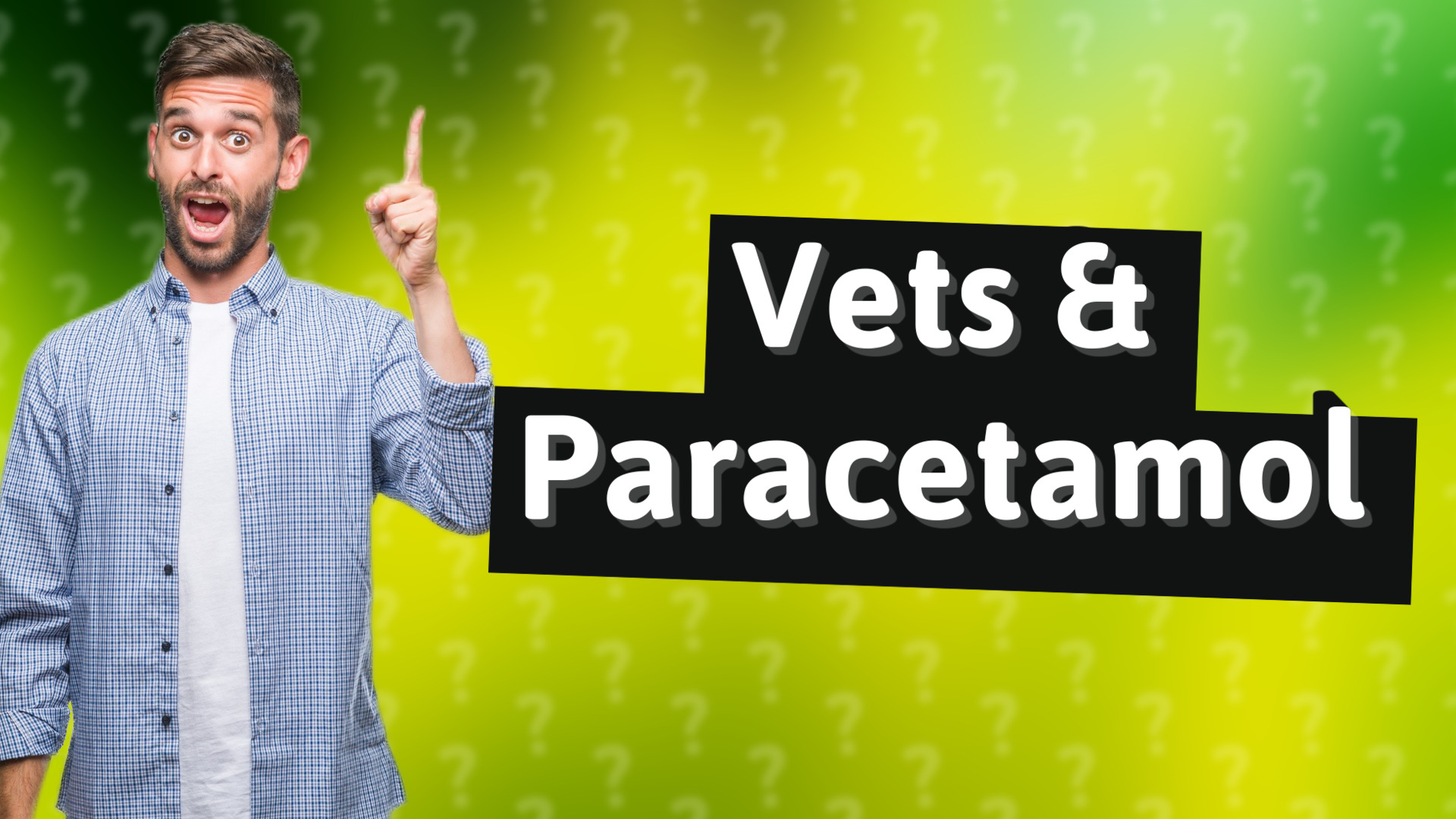 Vets & Paracetamol