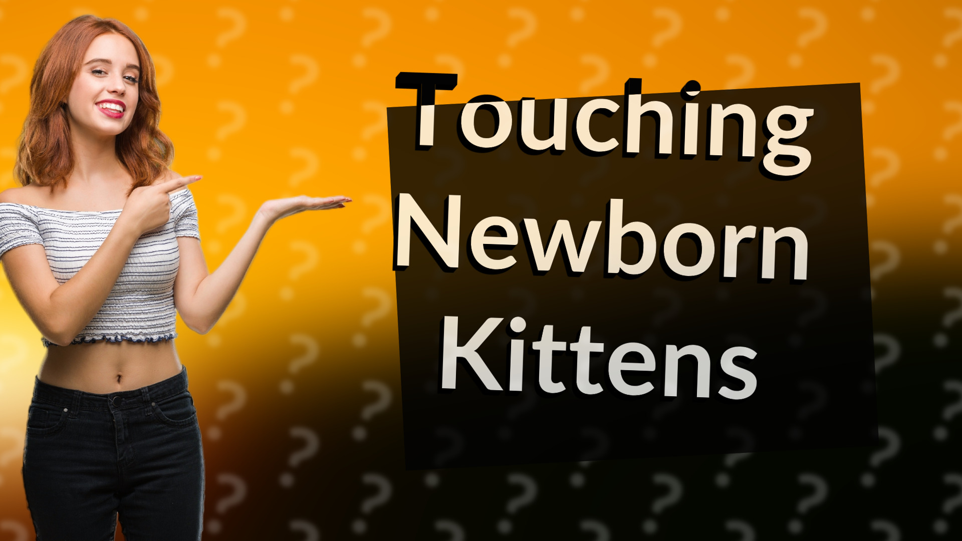 Touching Newborn Kittens