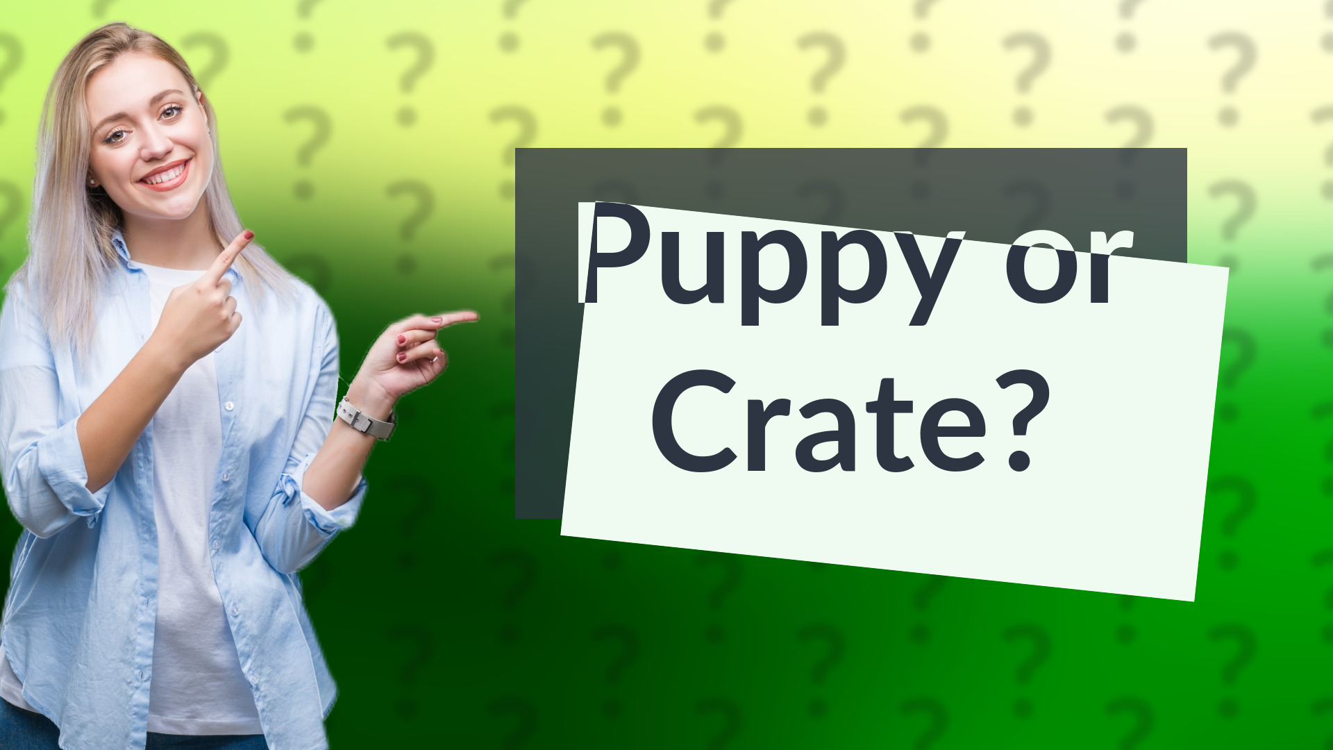 Puppy or Crate?