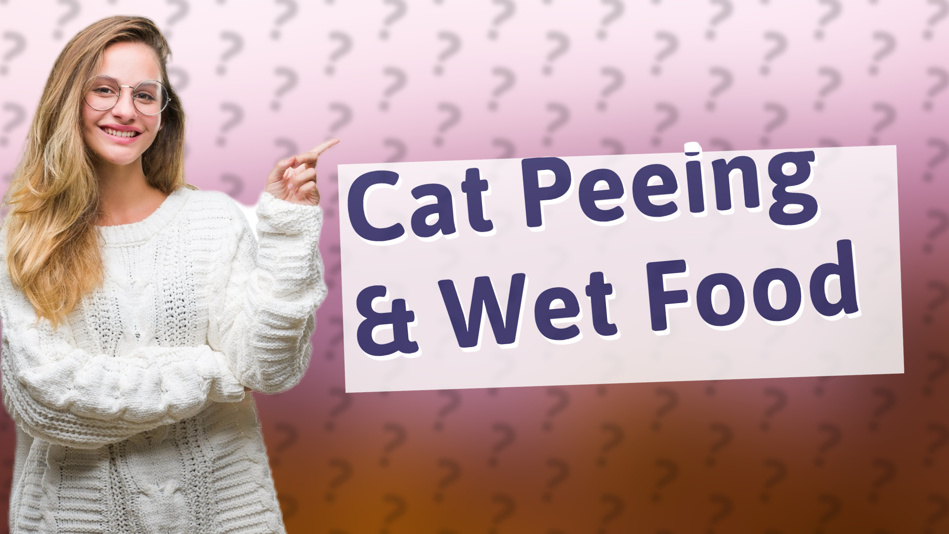 Cat Peeing & Wet Food
