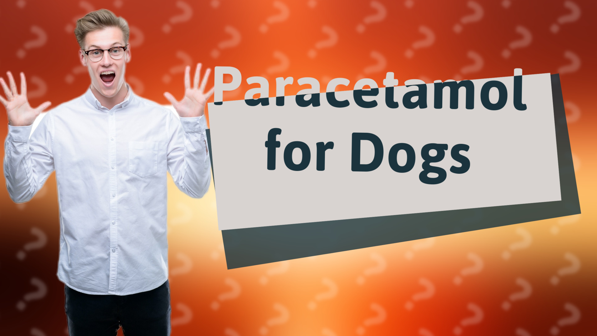 Paracetamol for Dogs