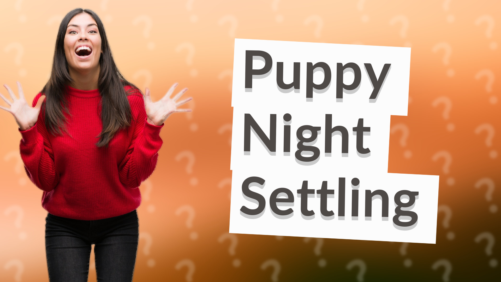 Puppy Night Settling