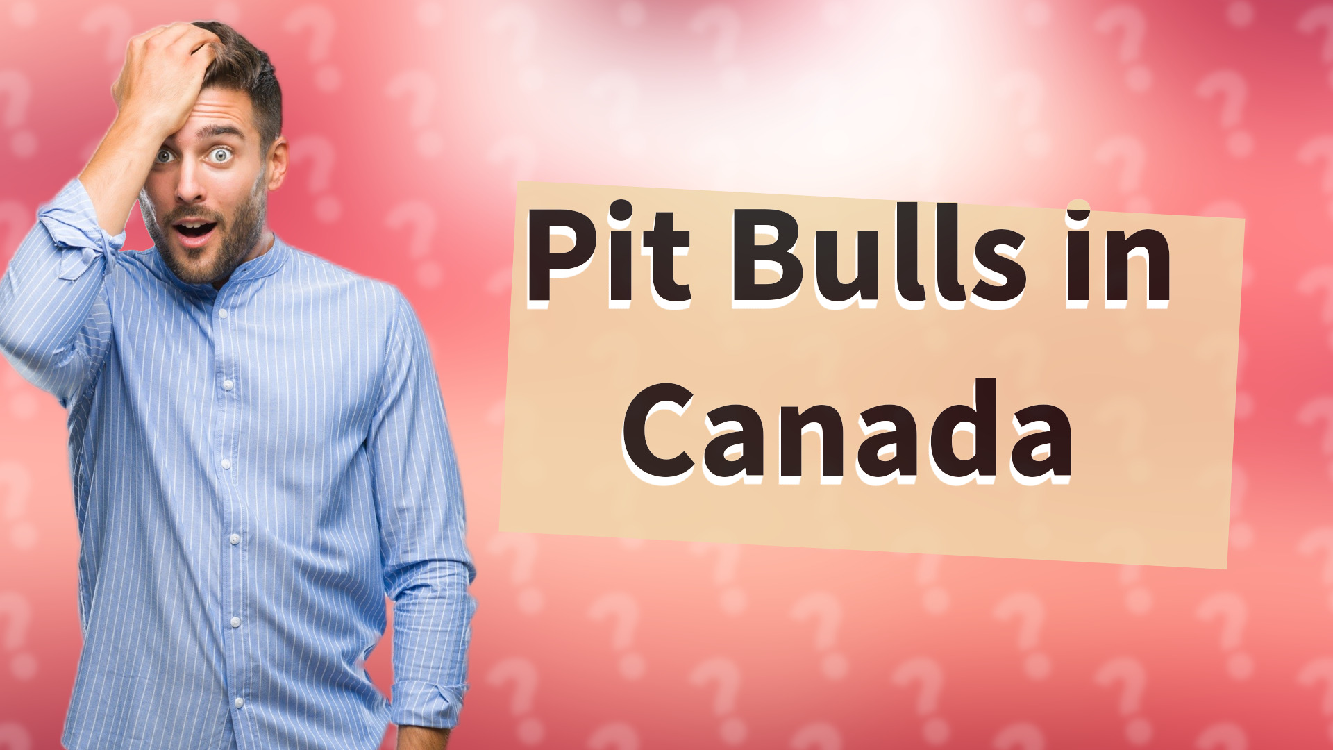 Pit Bulls in Canada