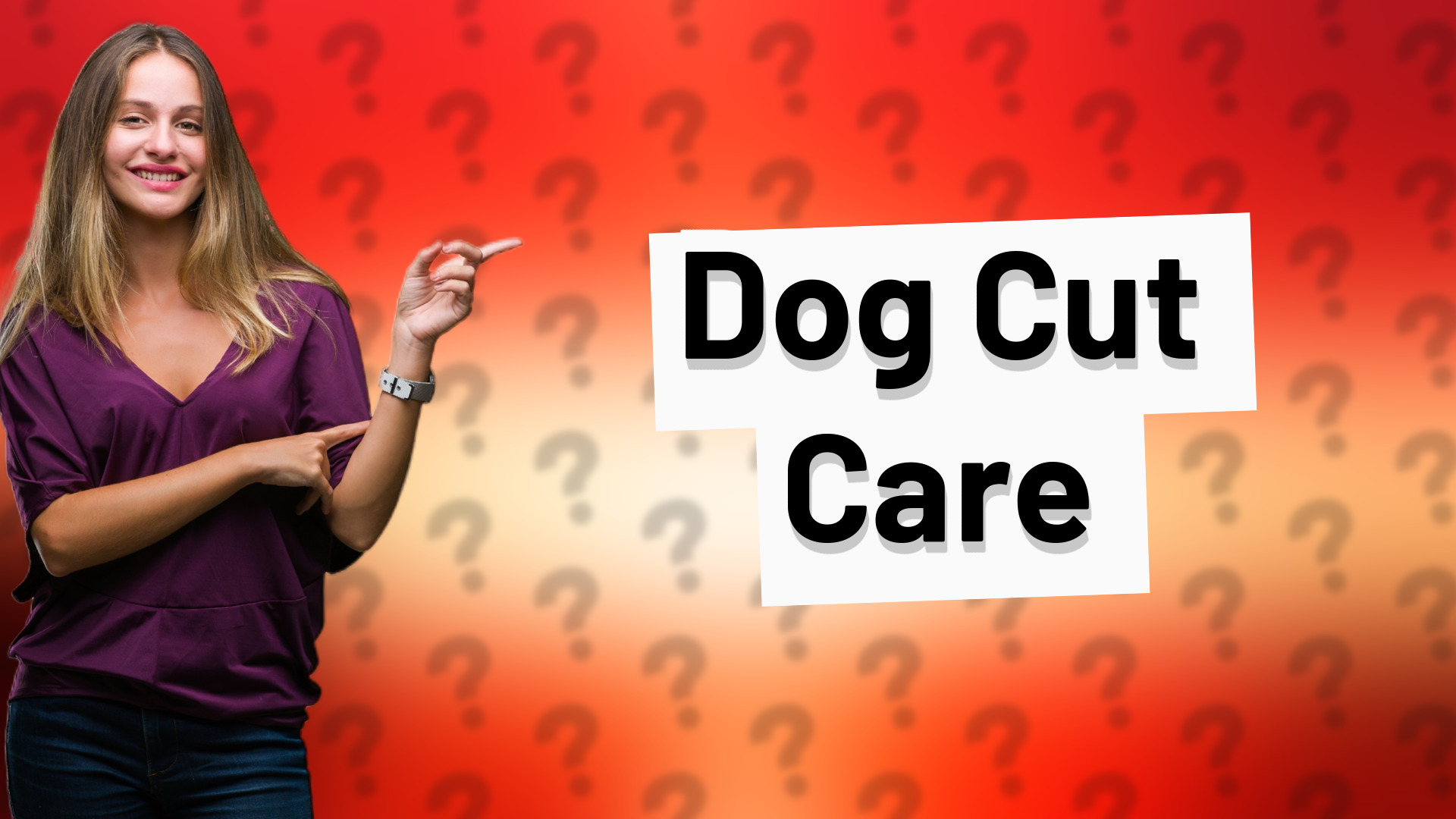 Dog Cut Care