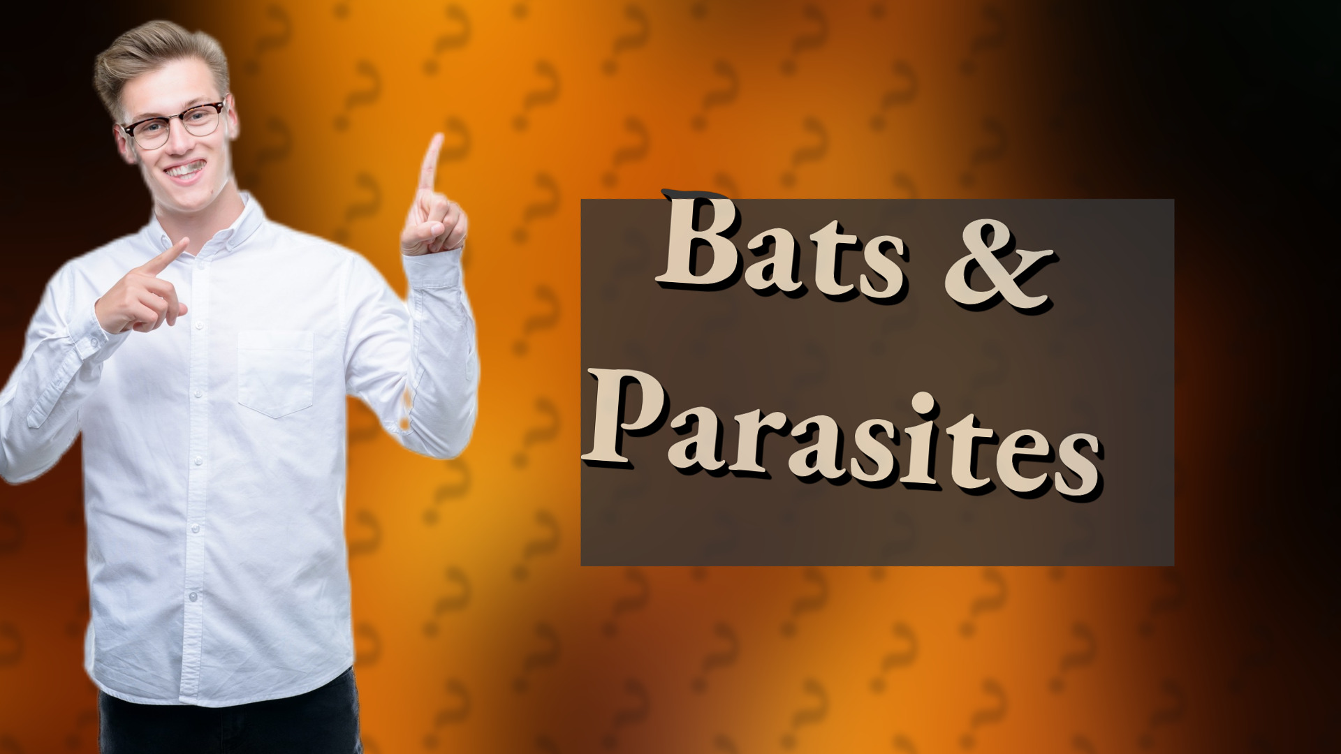 Bats & Parasites