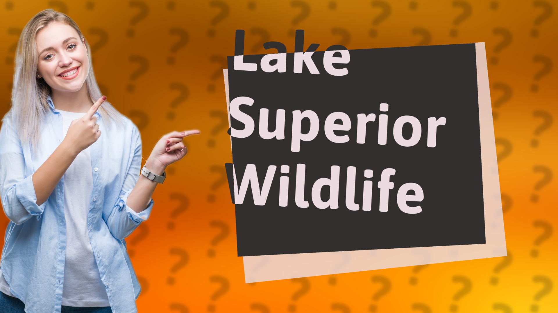 Lake Superior Wildlife