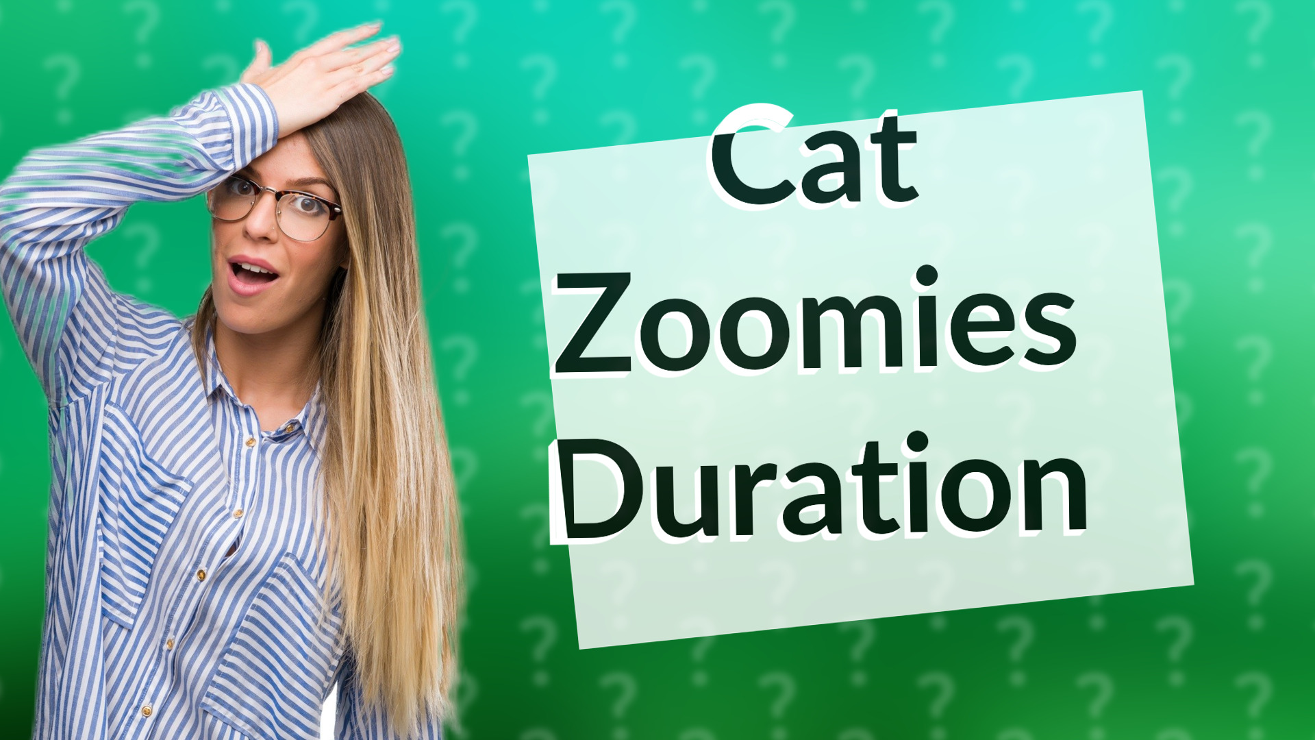 Cat Zoomies Duration