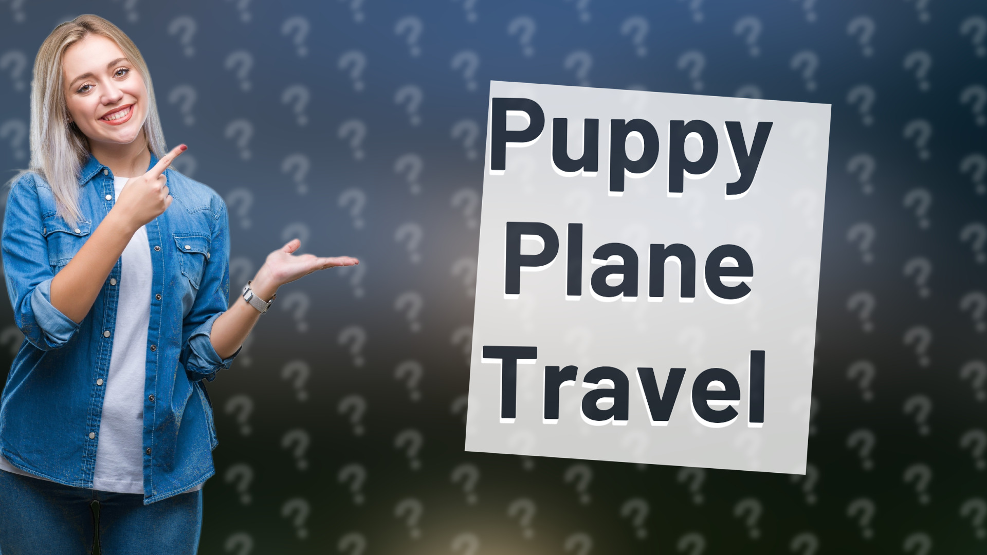 Puppy Plane Travel