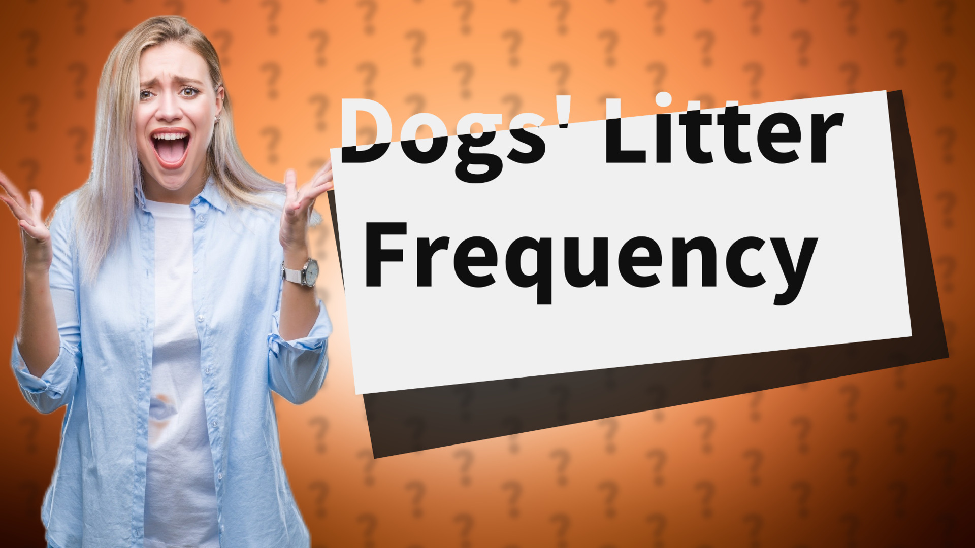 Dogs' Litter Frequency