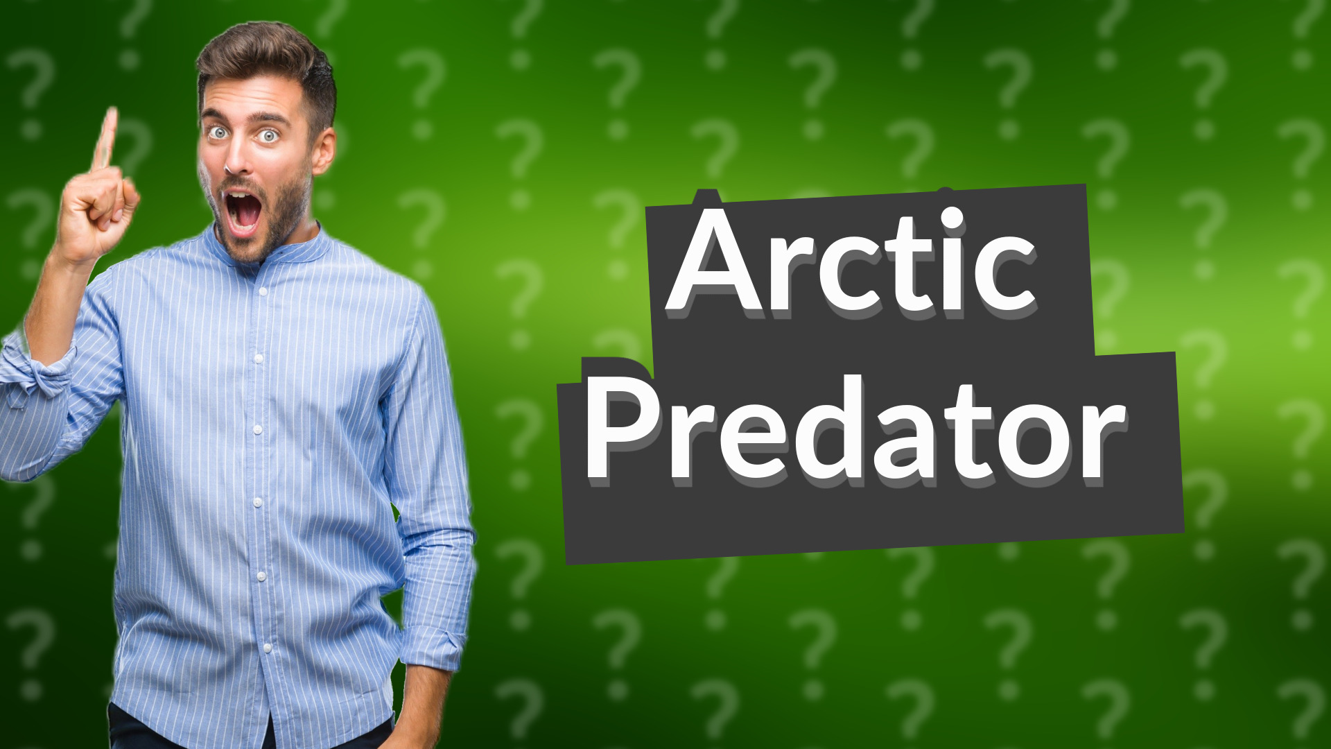 Arctic Predator