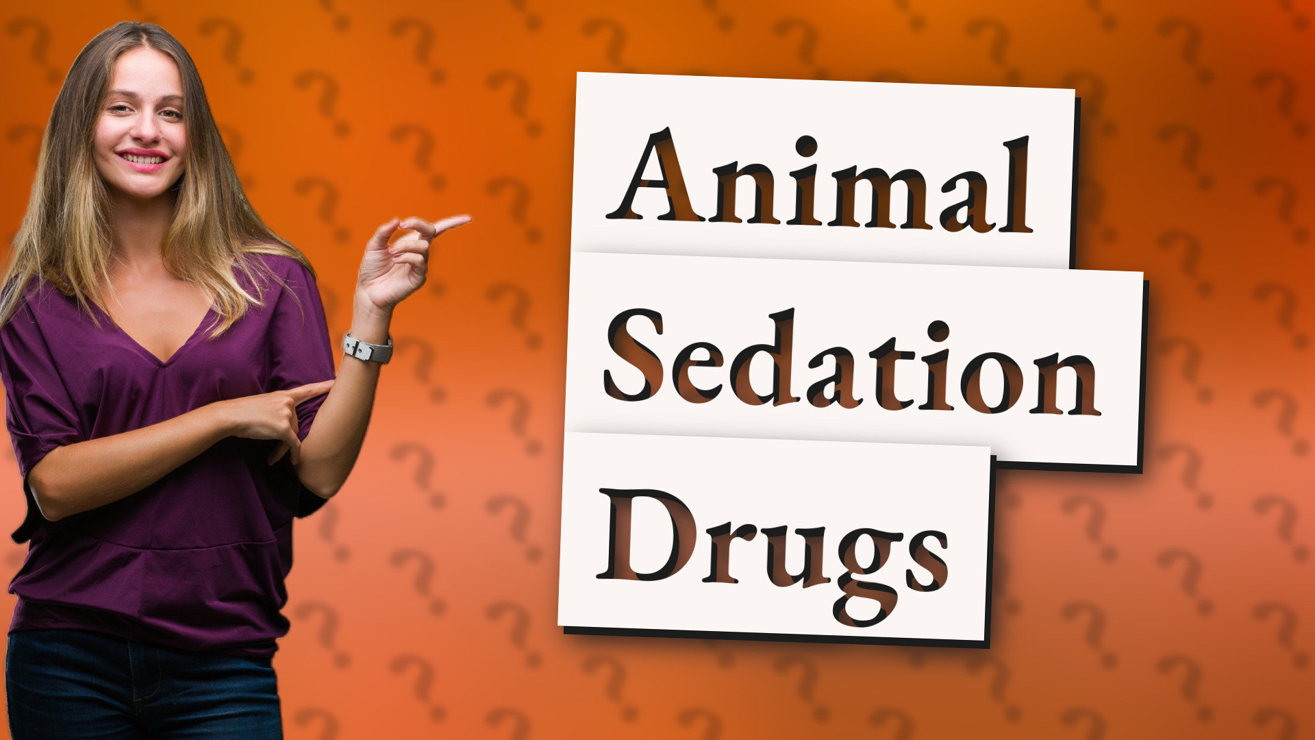 Animal Sedation Drugs