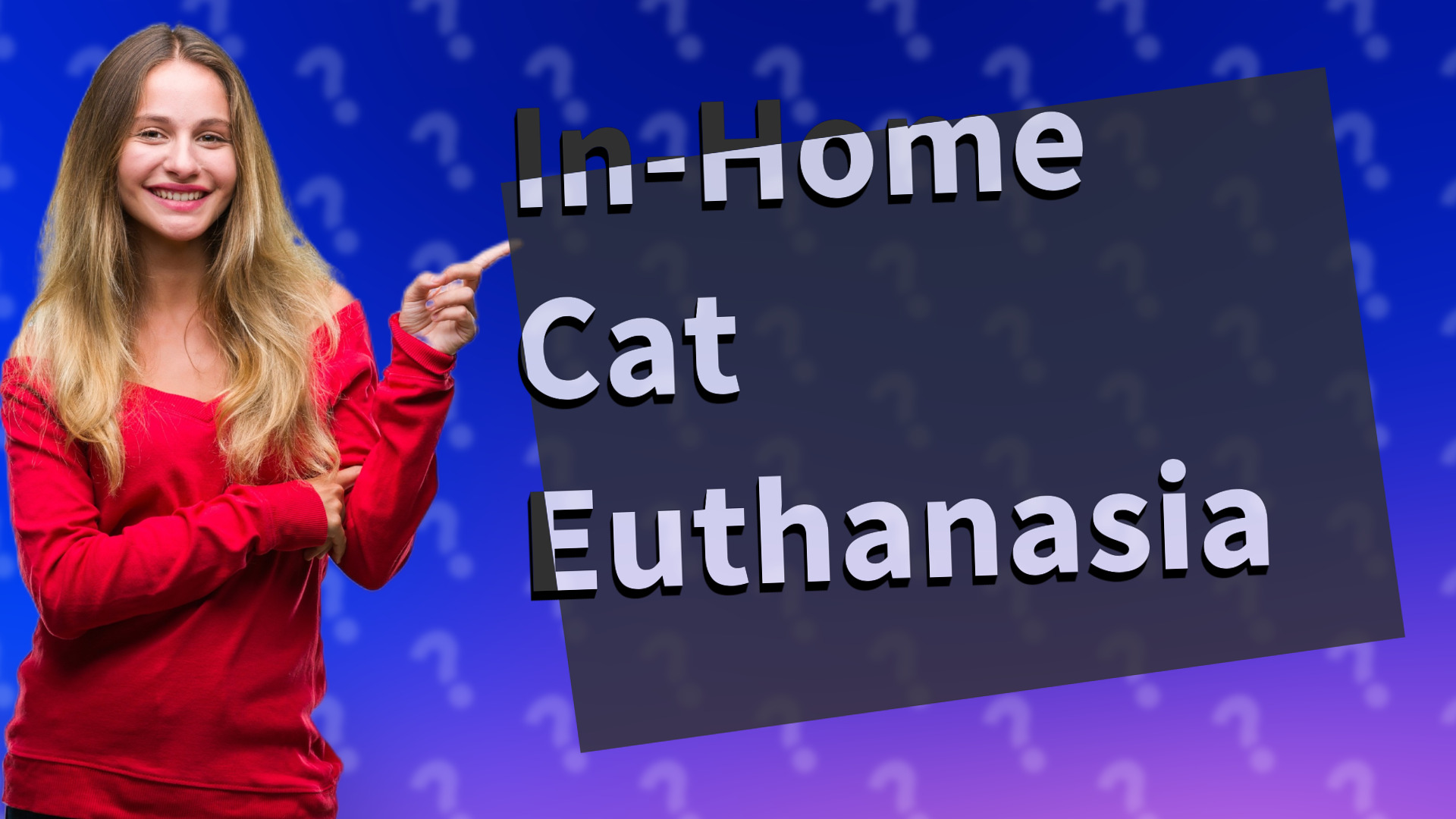 In-Home Cat Euthanasia