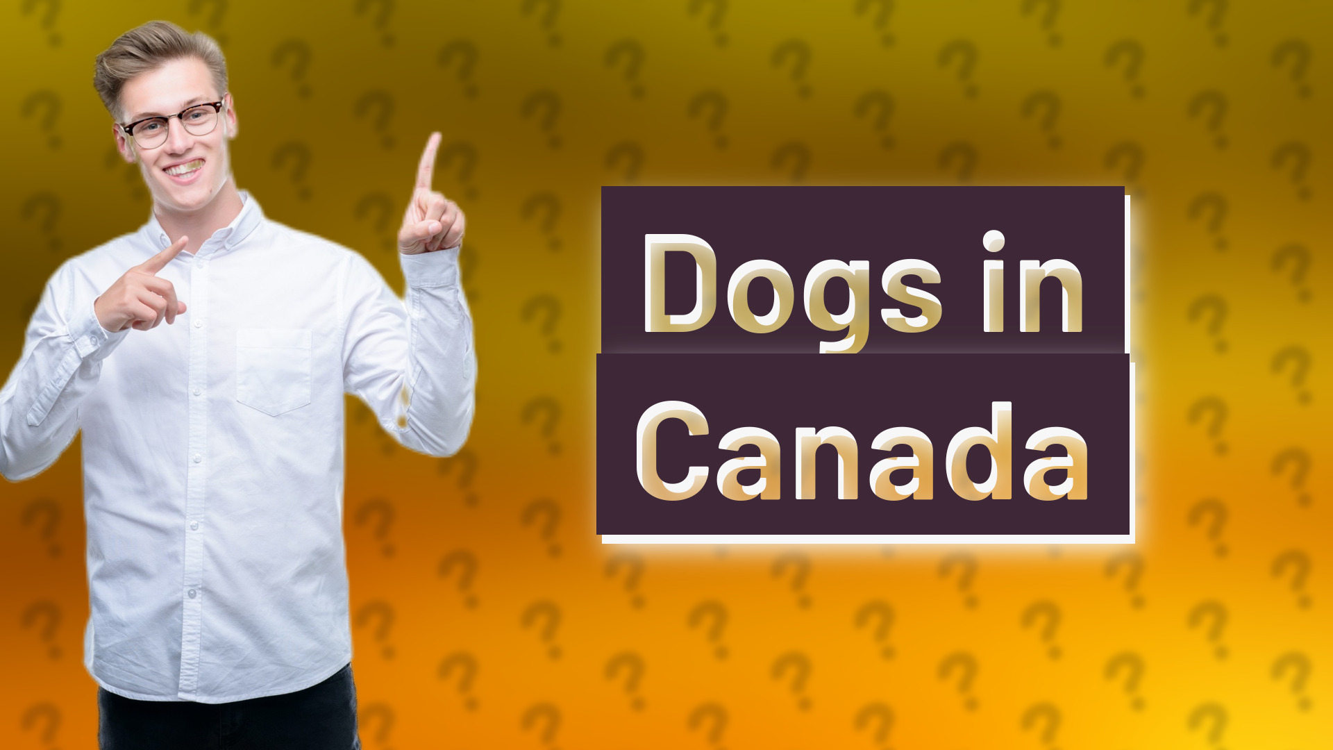 Dogs in Canada