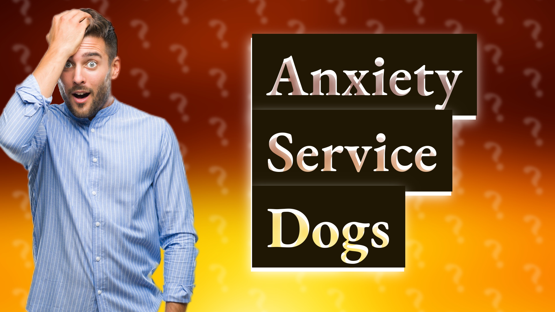 Anxiety Service Dogs