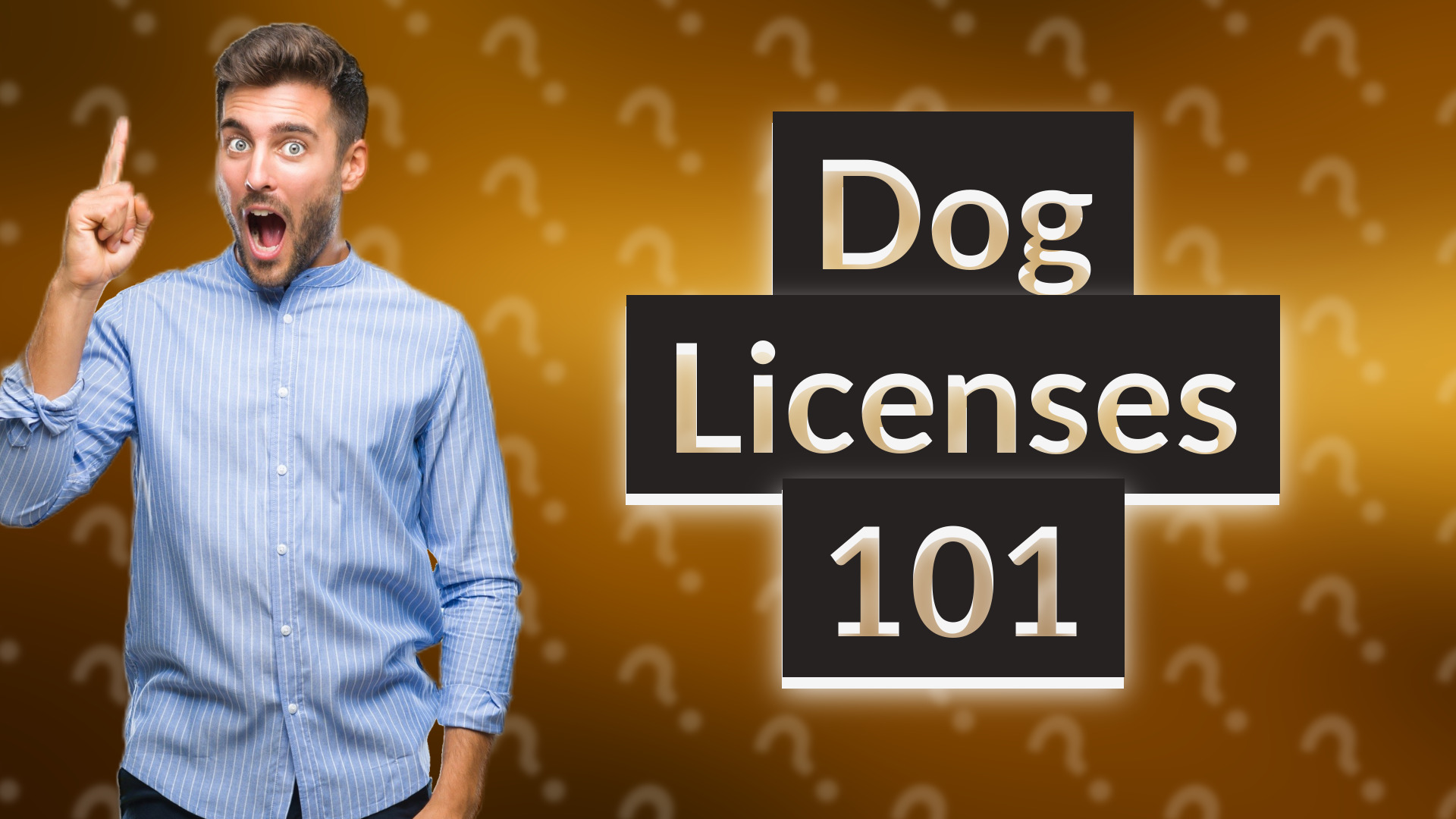 Dog Licenses 101