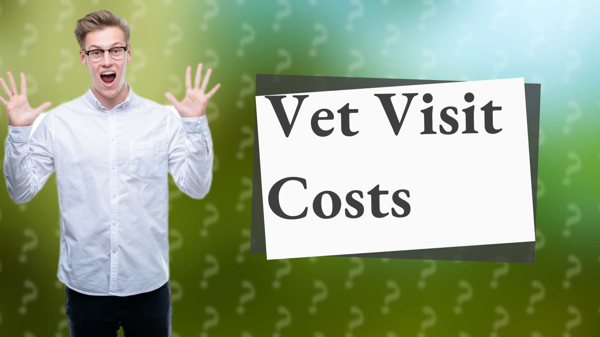 Vet Visit Costs