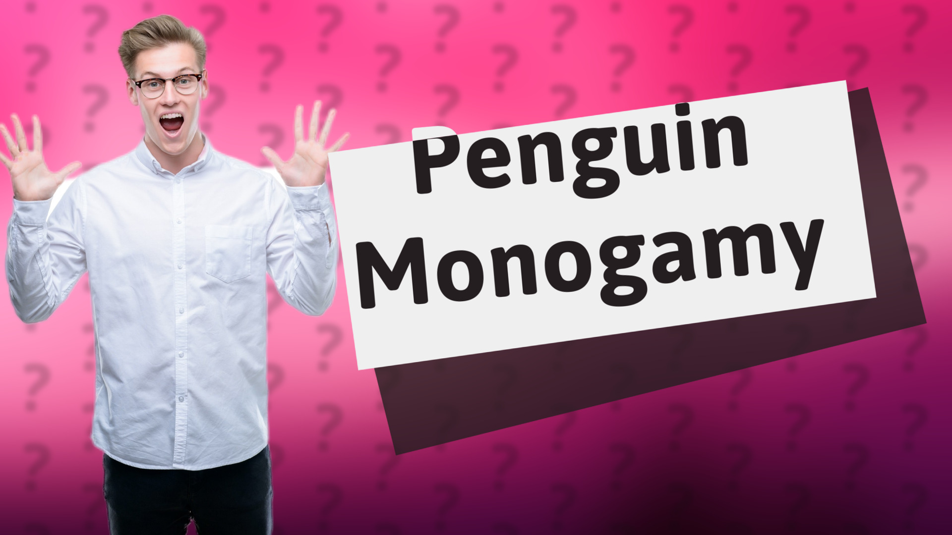 Penguin Monogamy