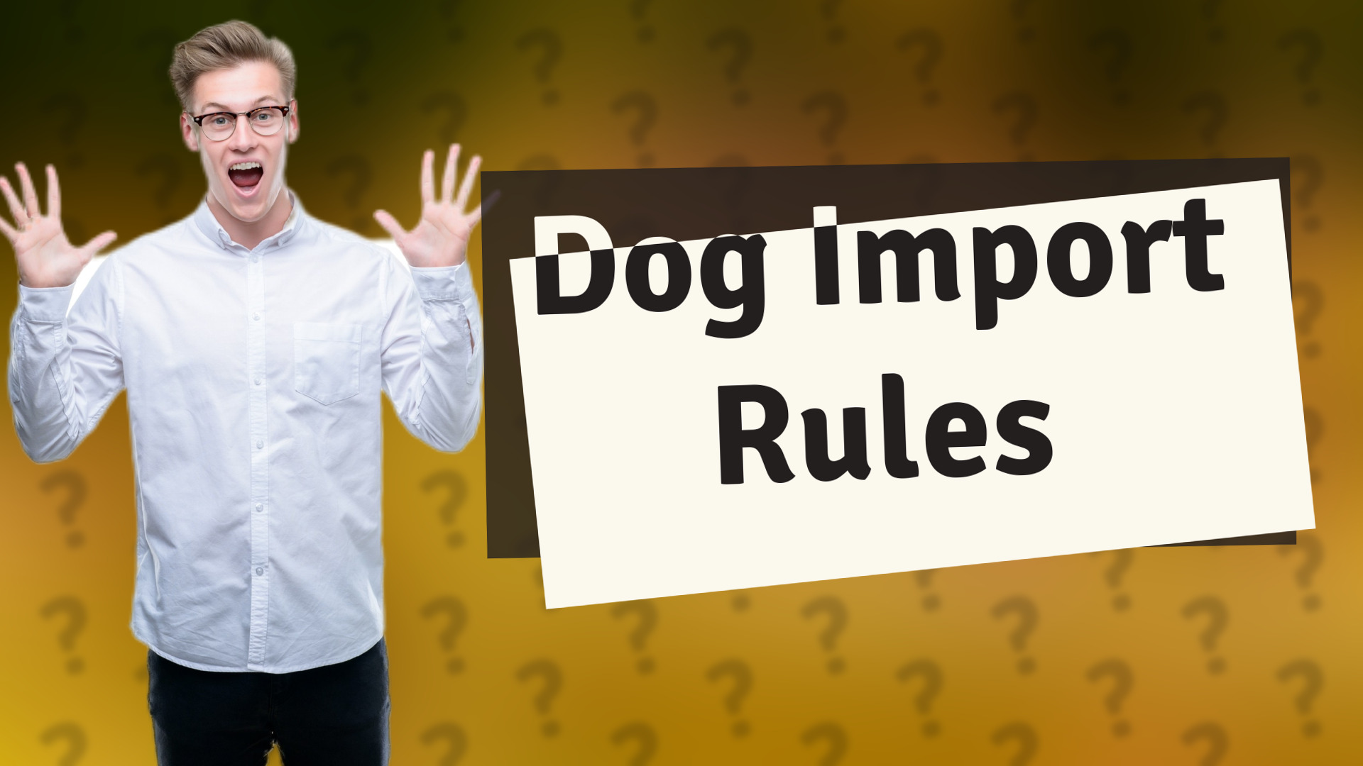 Dog Import Rules