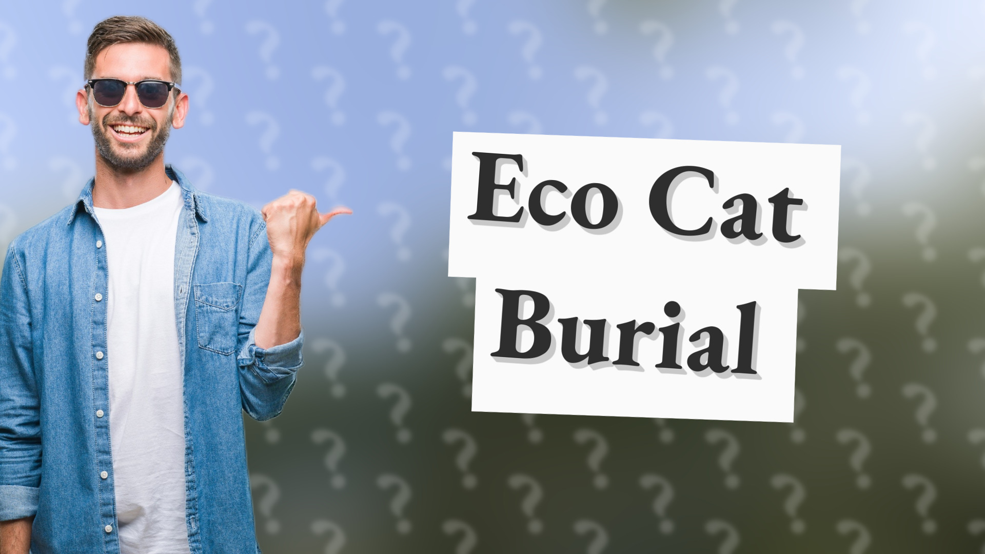 Eco Cat Burial