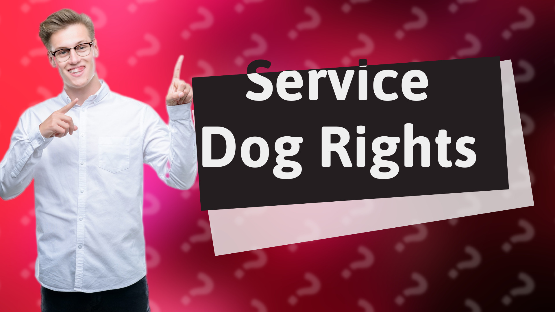 Service Dog Rights