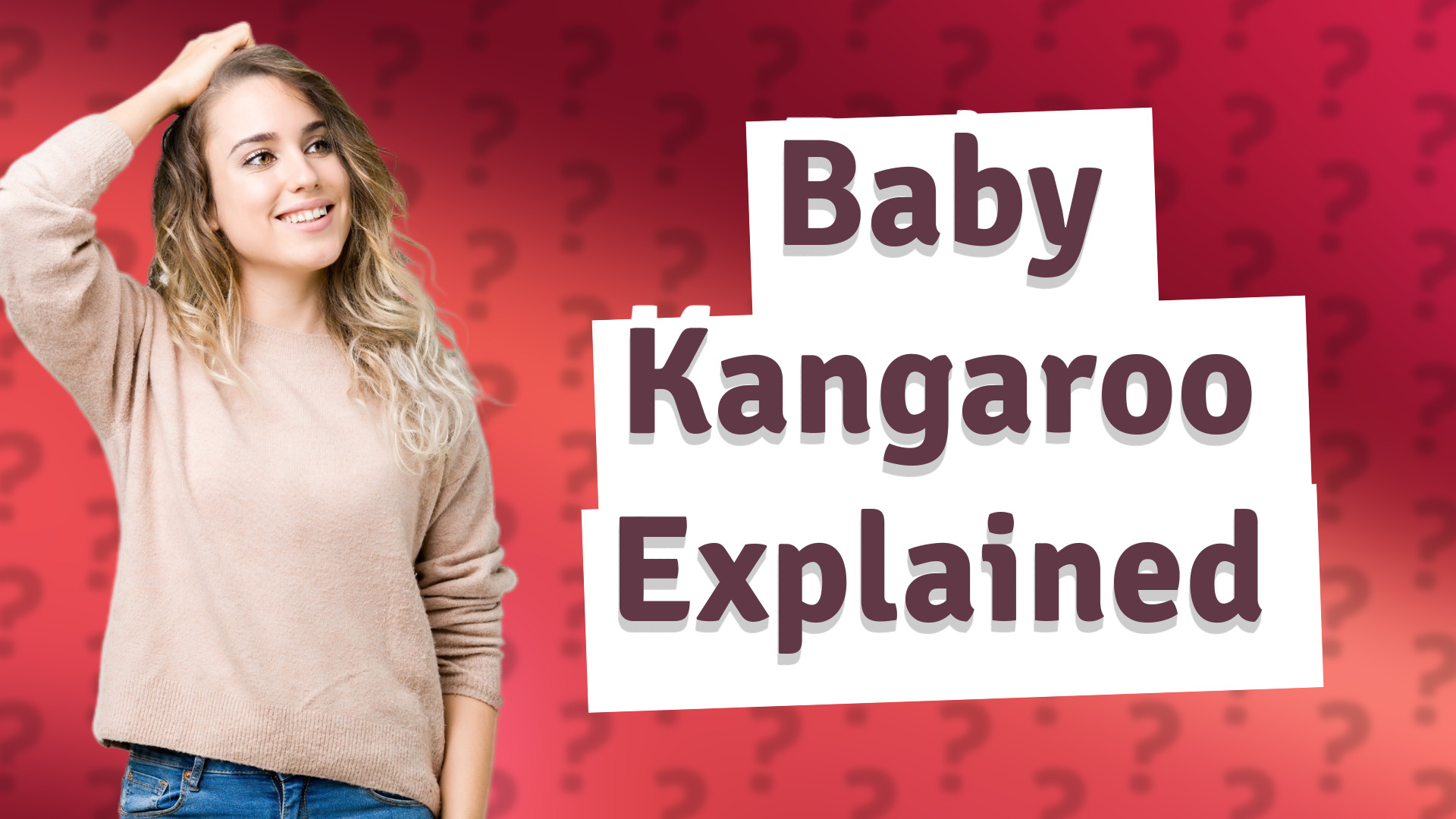 Baby Kangaroo Explained
