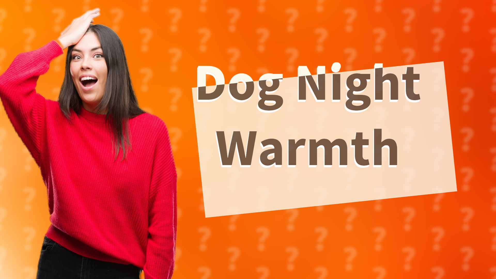 Dog Night Warmth