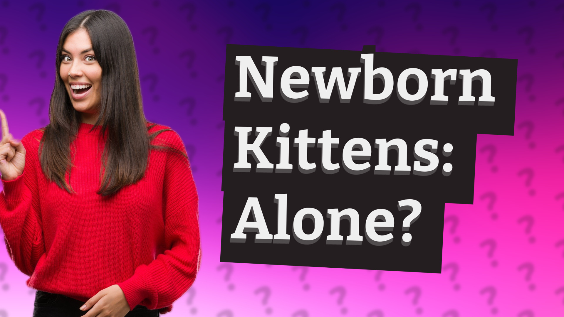 Newborn Kittens: Alone?