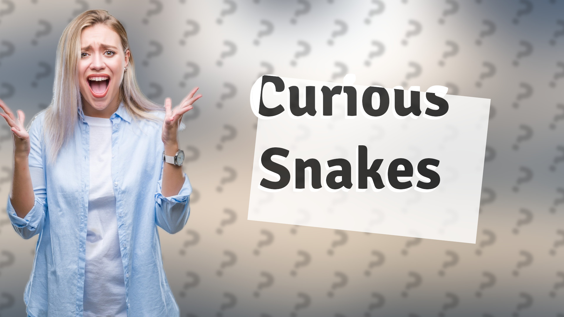 Curious Snakes