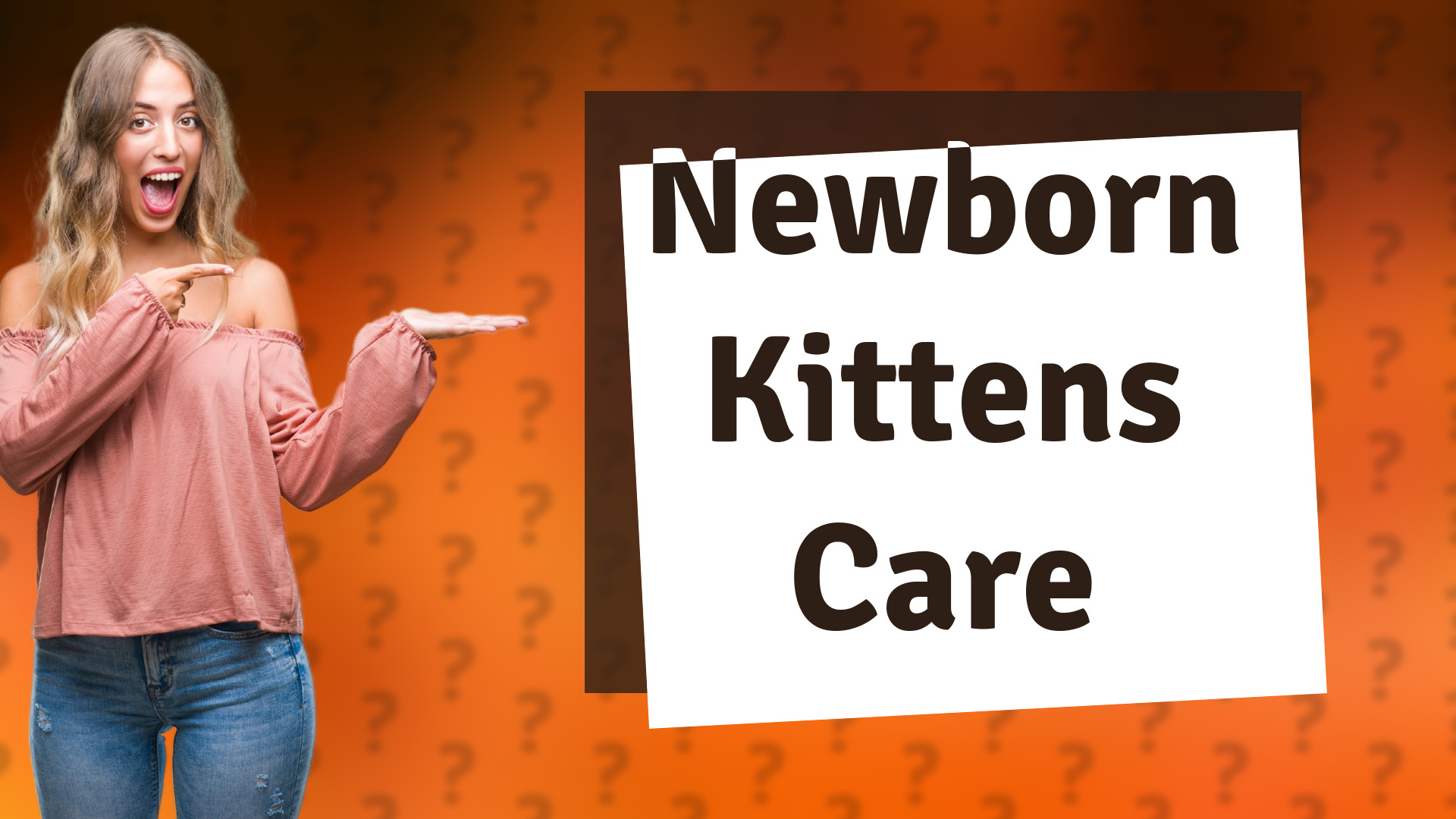 Newborn Kittens Care