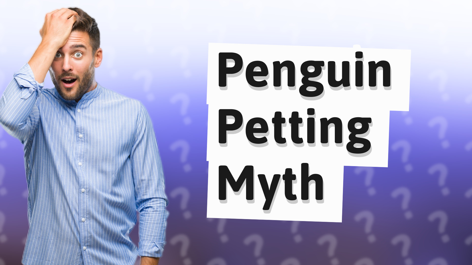 Penguin Petting Myth