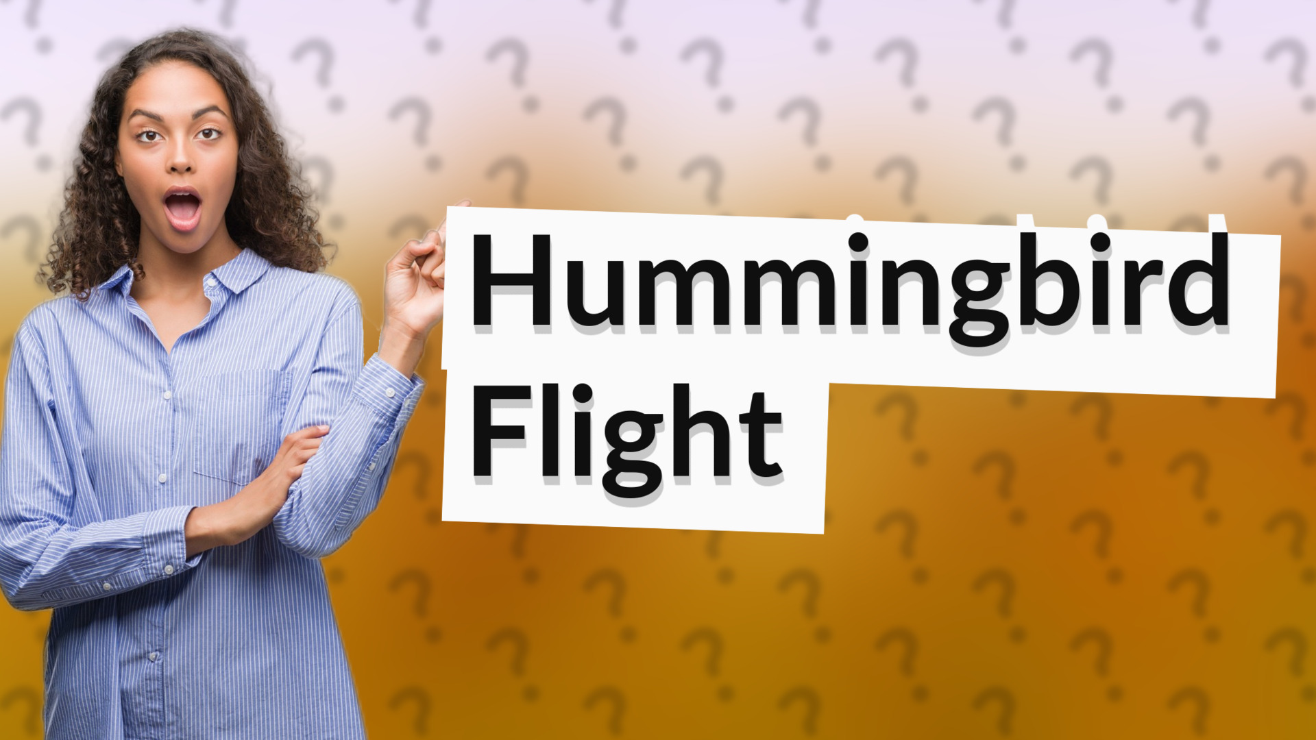 Hummingbird Flight