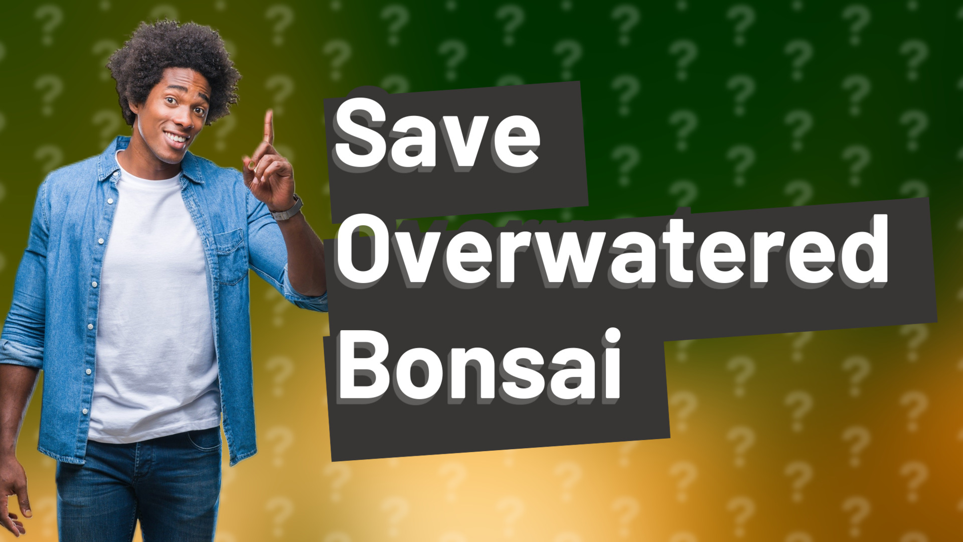 Save Overwatered Bonsai