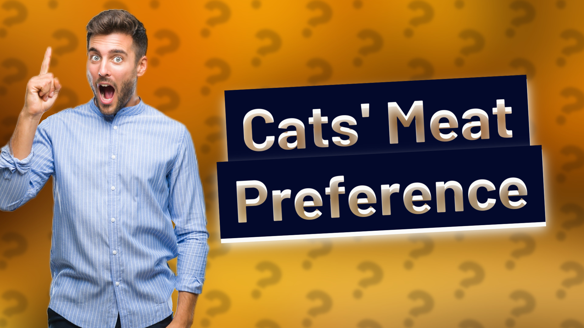 Cats' Meat Preference