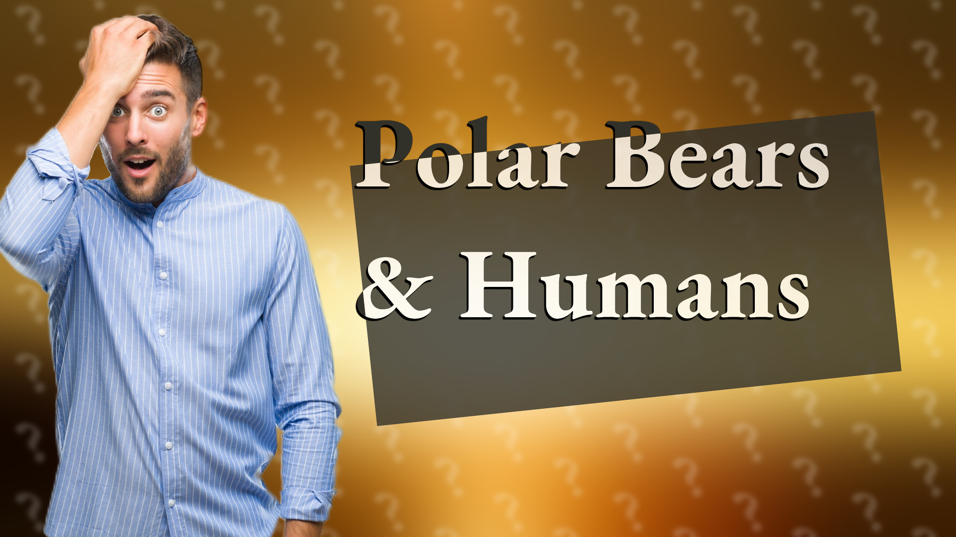 Polar Bears & Humans