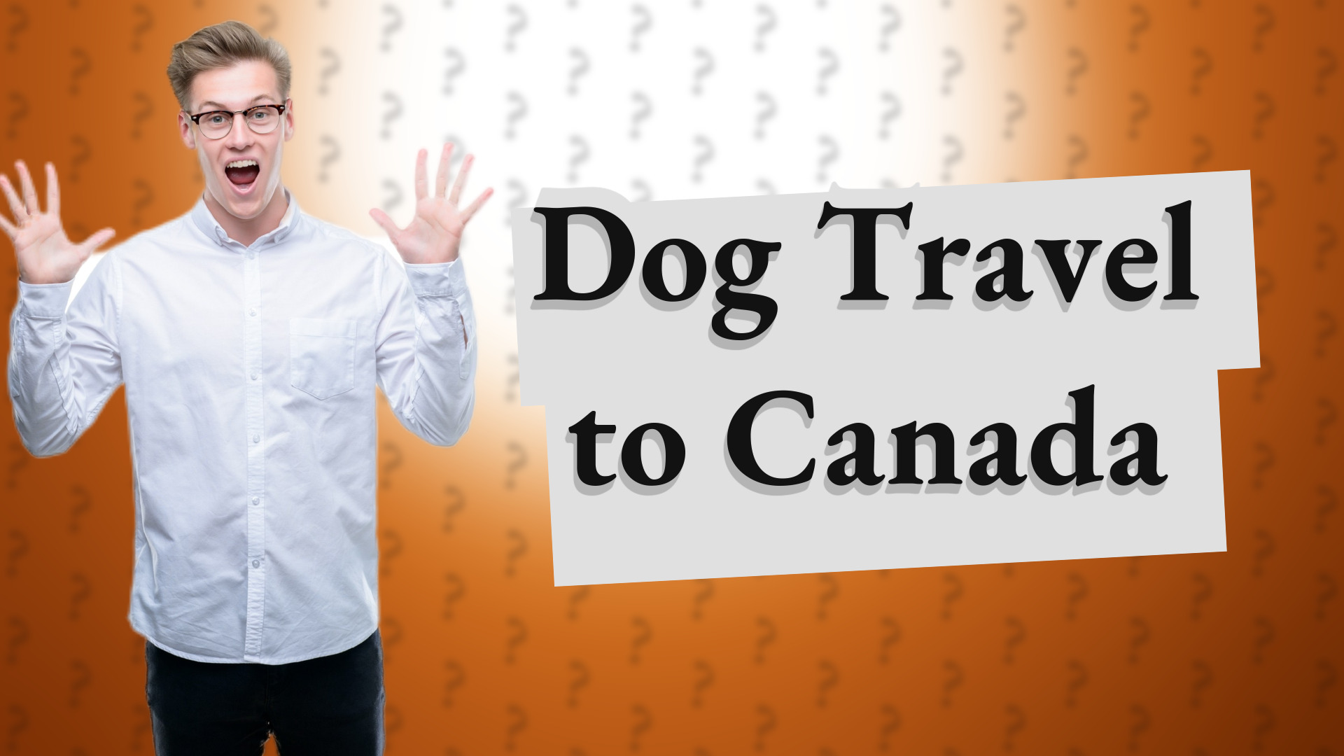 Dog Travel to Canada