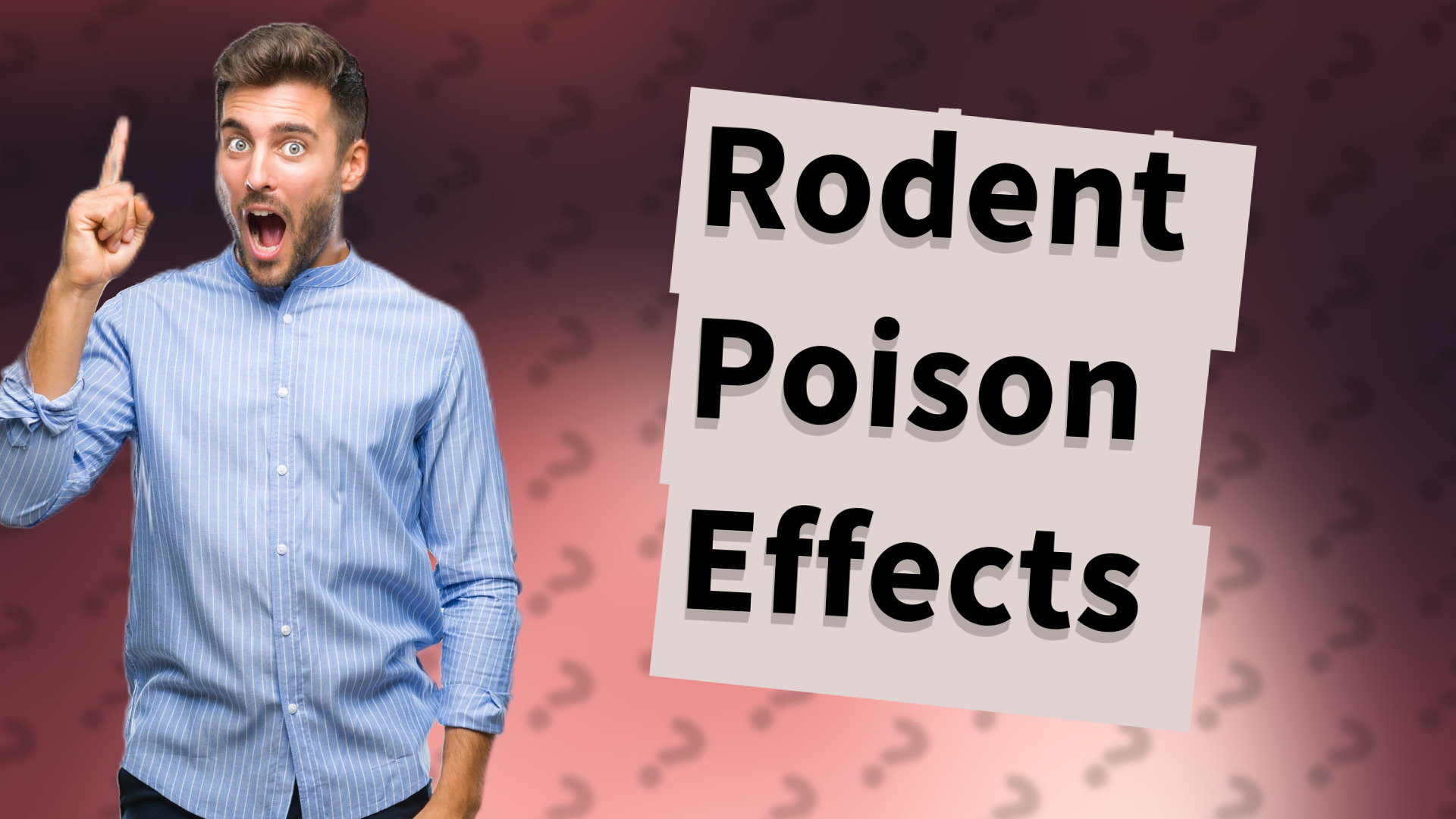 Rodent Poison Effects