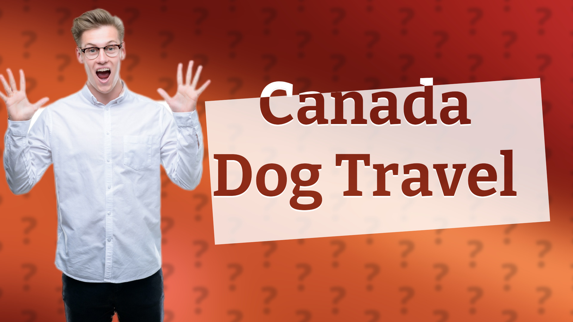 Canada Dog Travel