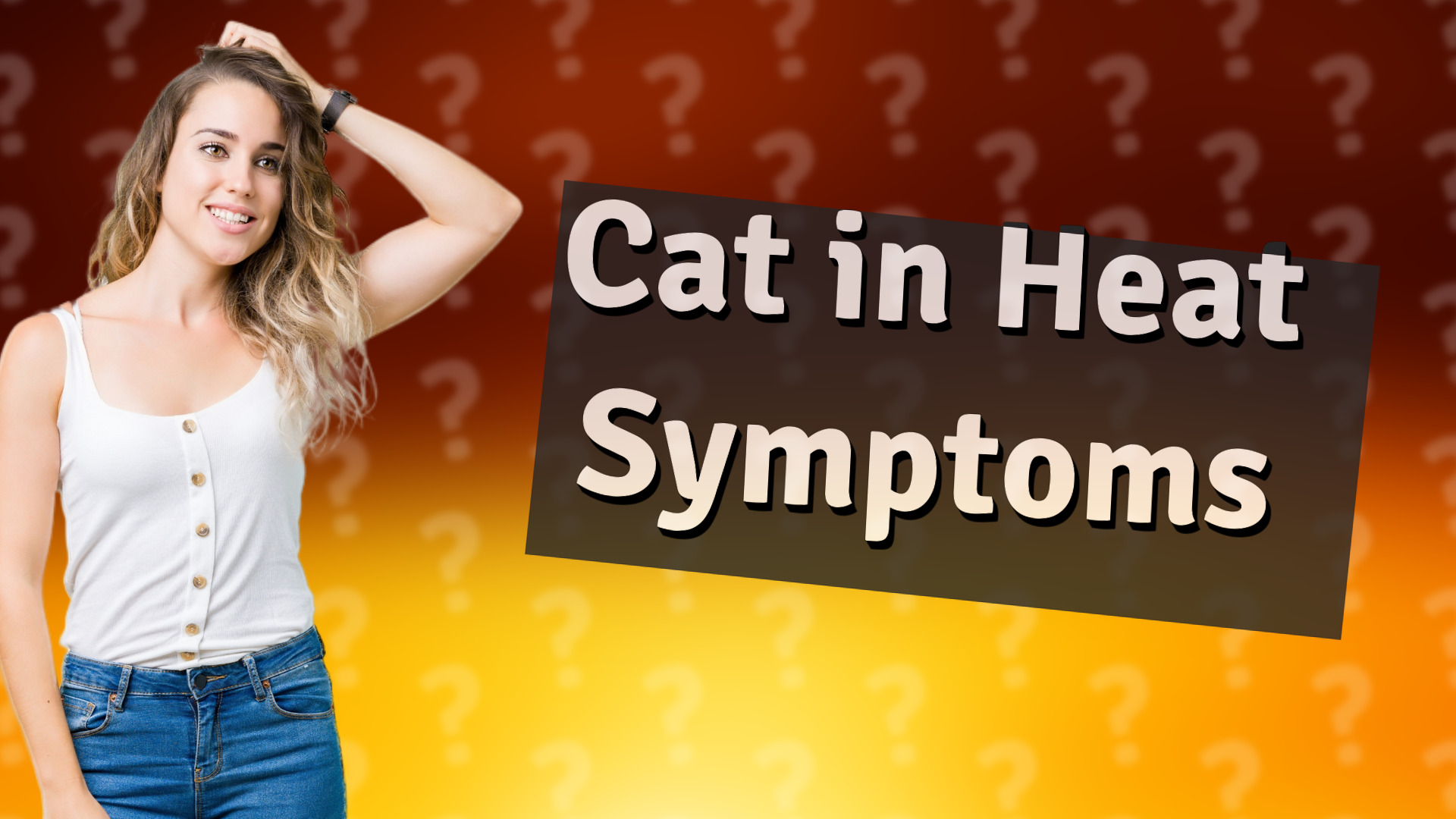 Cat in Heat Symptoms