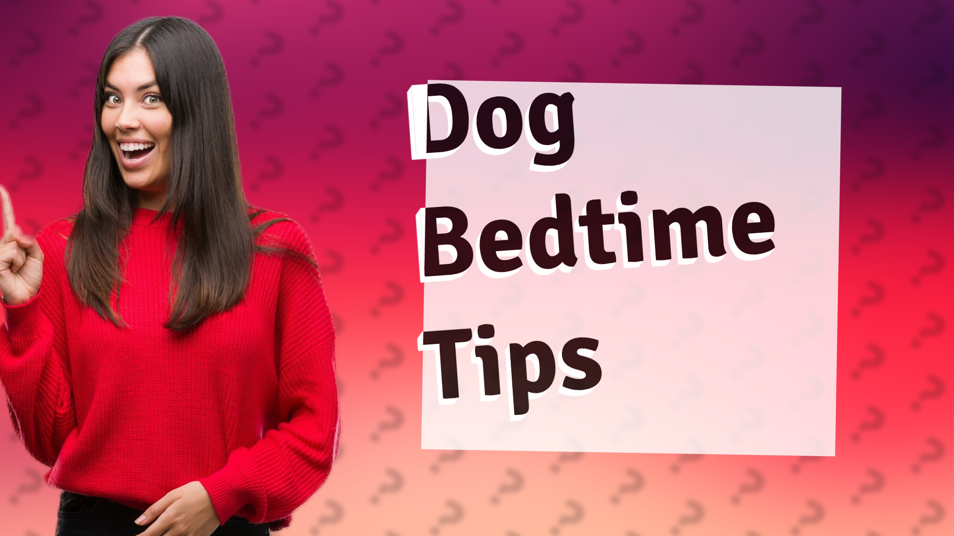 Dog Bedtime Tips