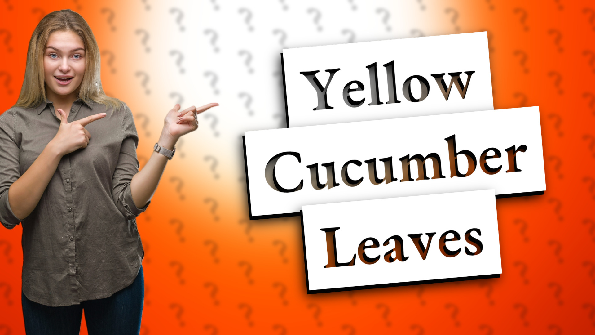 Yellow Cucumber Leaves