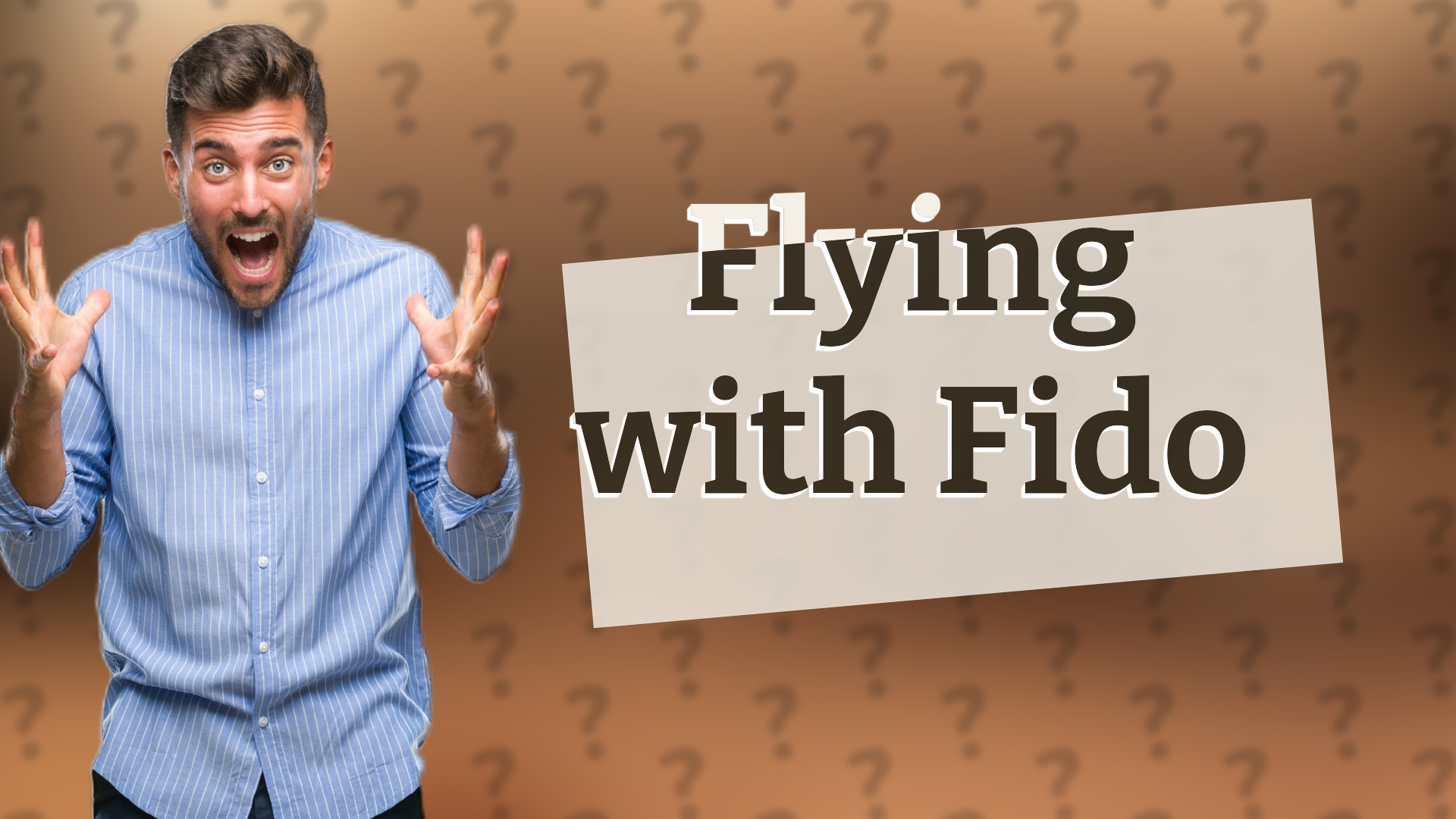 Flying with Fido