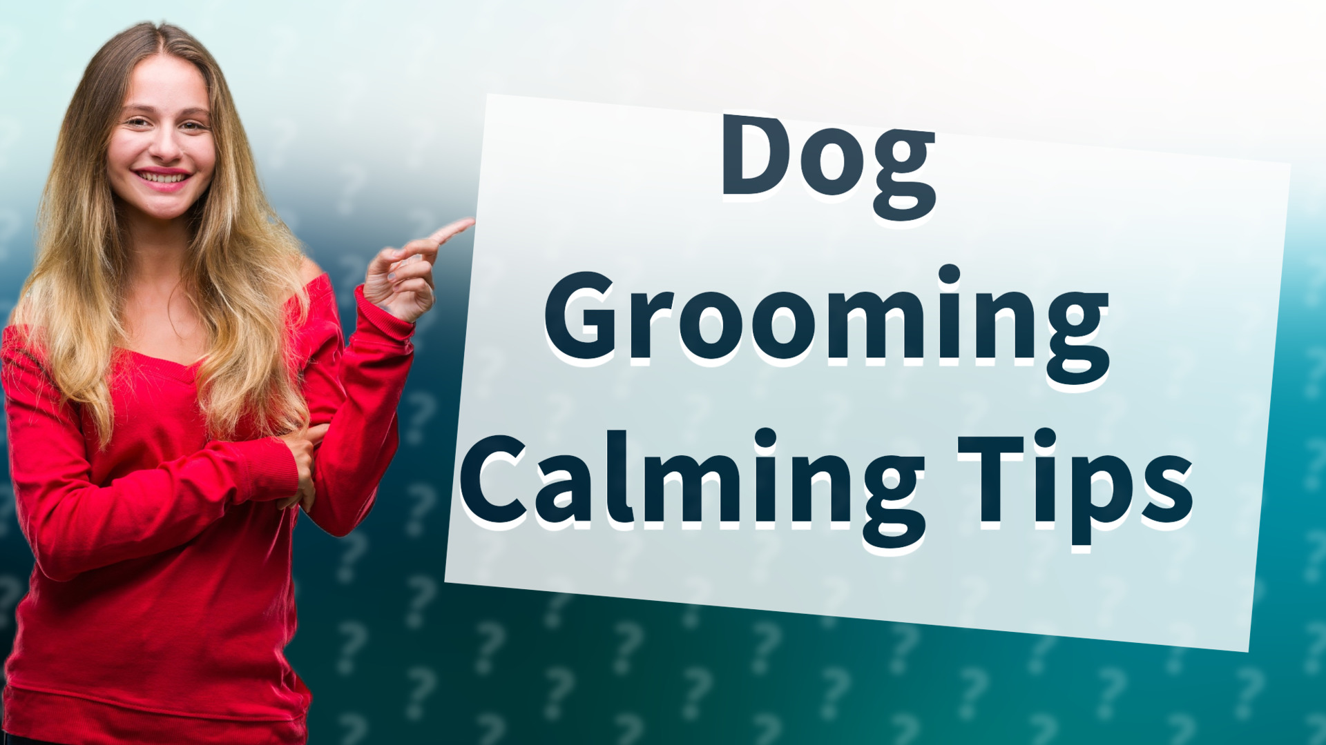 Dog Grooming Calming Tips