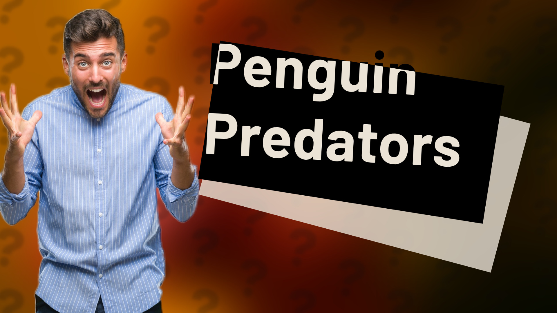 Penguin Predators