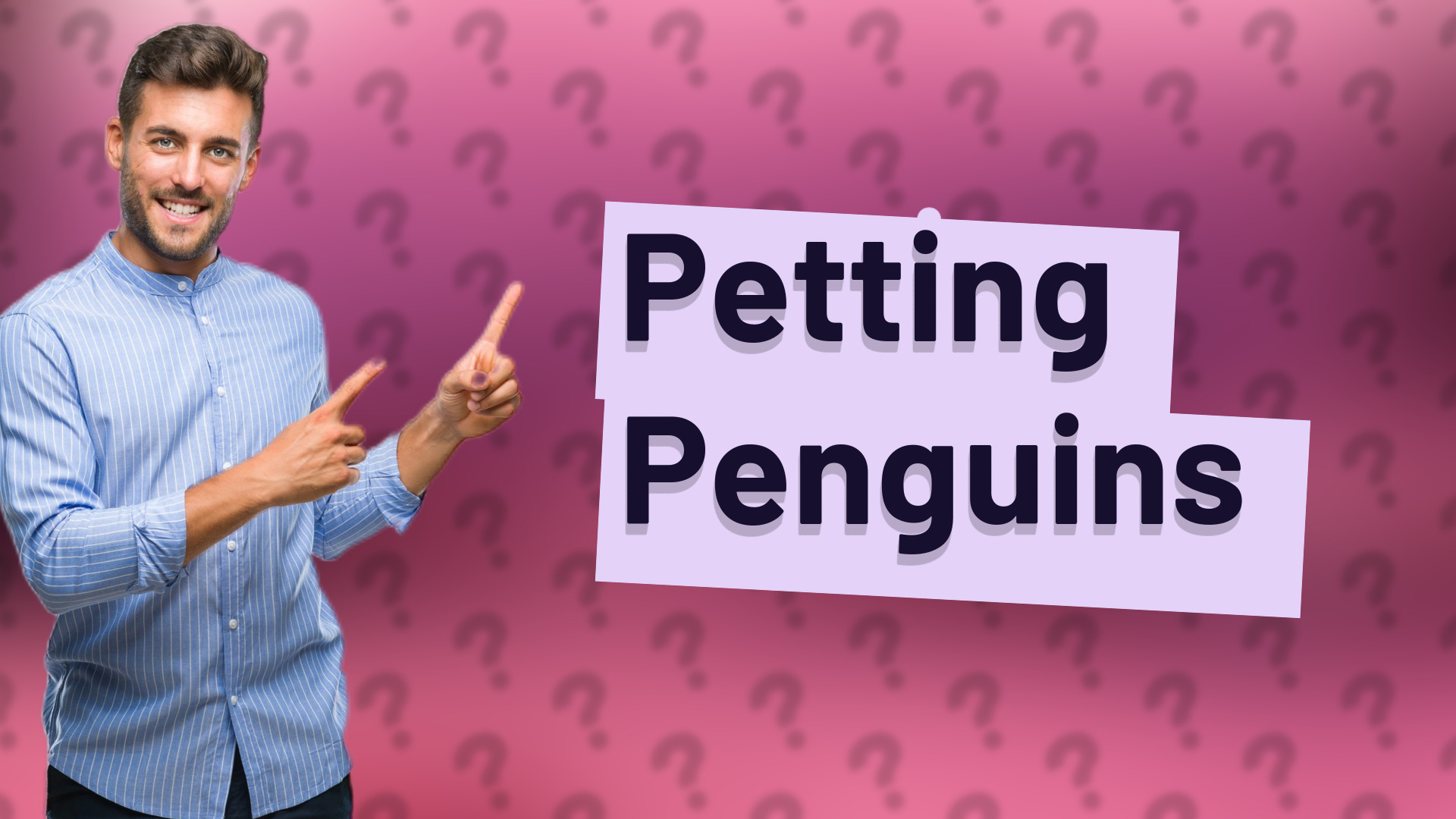 Petting Penguins