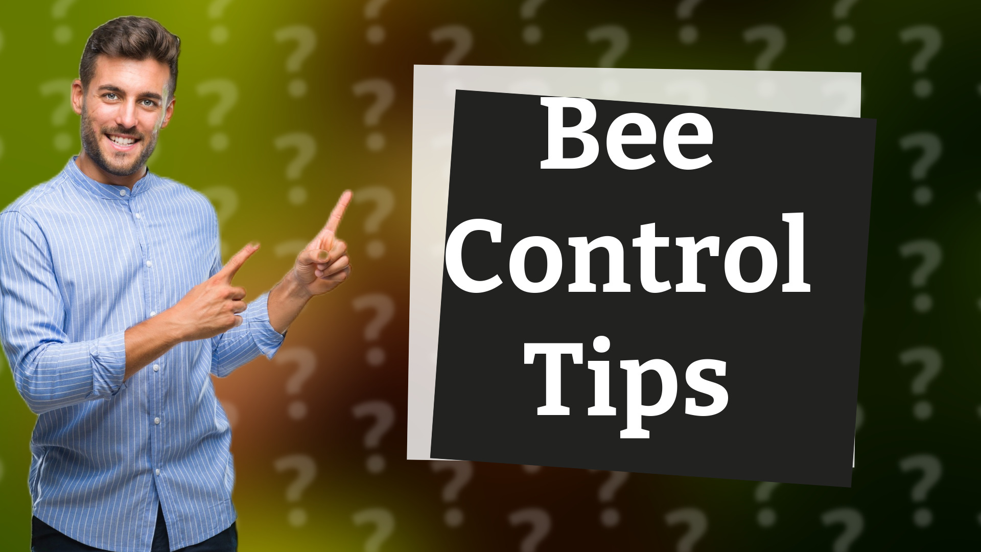 Bee Control Tips